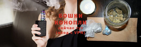 прущие грибы Переславль-Залесский