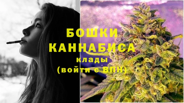 a pvp Аркадак