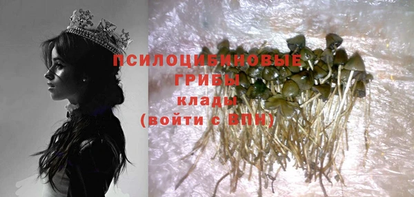 a pvp Аркадак