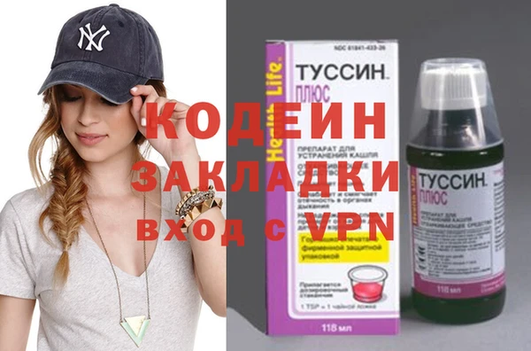 прущие грибы Переславль-Залесский