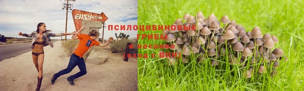 mdpv Арсеньев