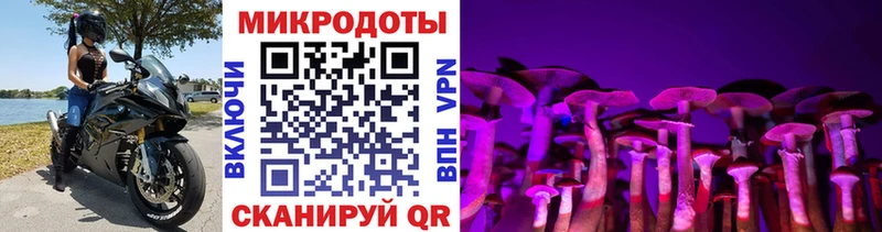 kraken сайт  Бежецк  Галлюциногенные грибы Psilocybine cubensis  где купить наркоту 